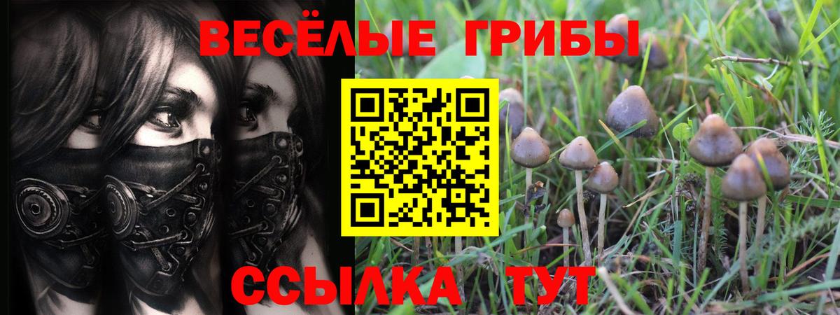 Псилоцибиновые грибы мухоморы  Галлюциногенные грибы мухоморы  Балтийск  Вход с VPN 