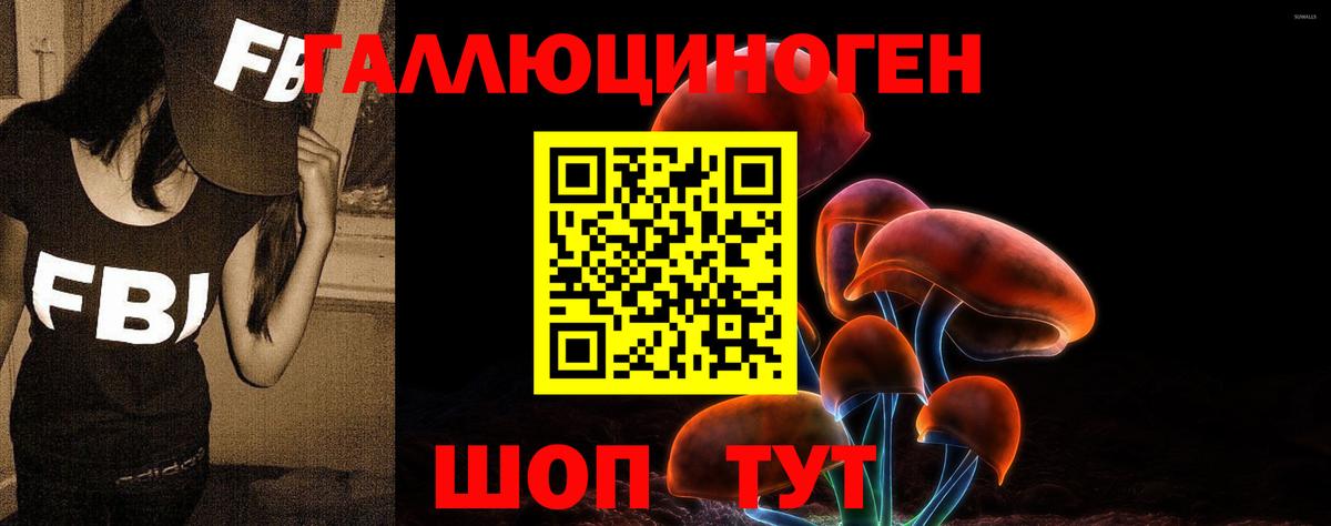 Галлюциногенные грибы прущие грибы Балтийск